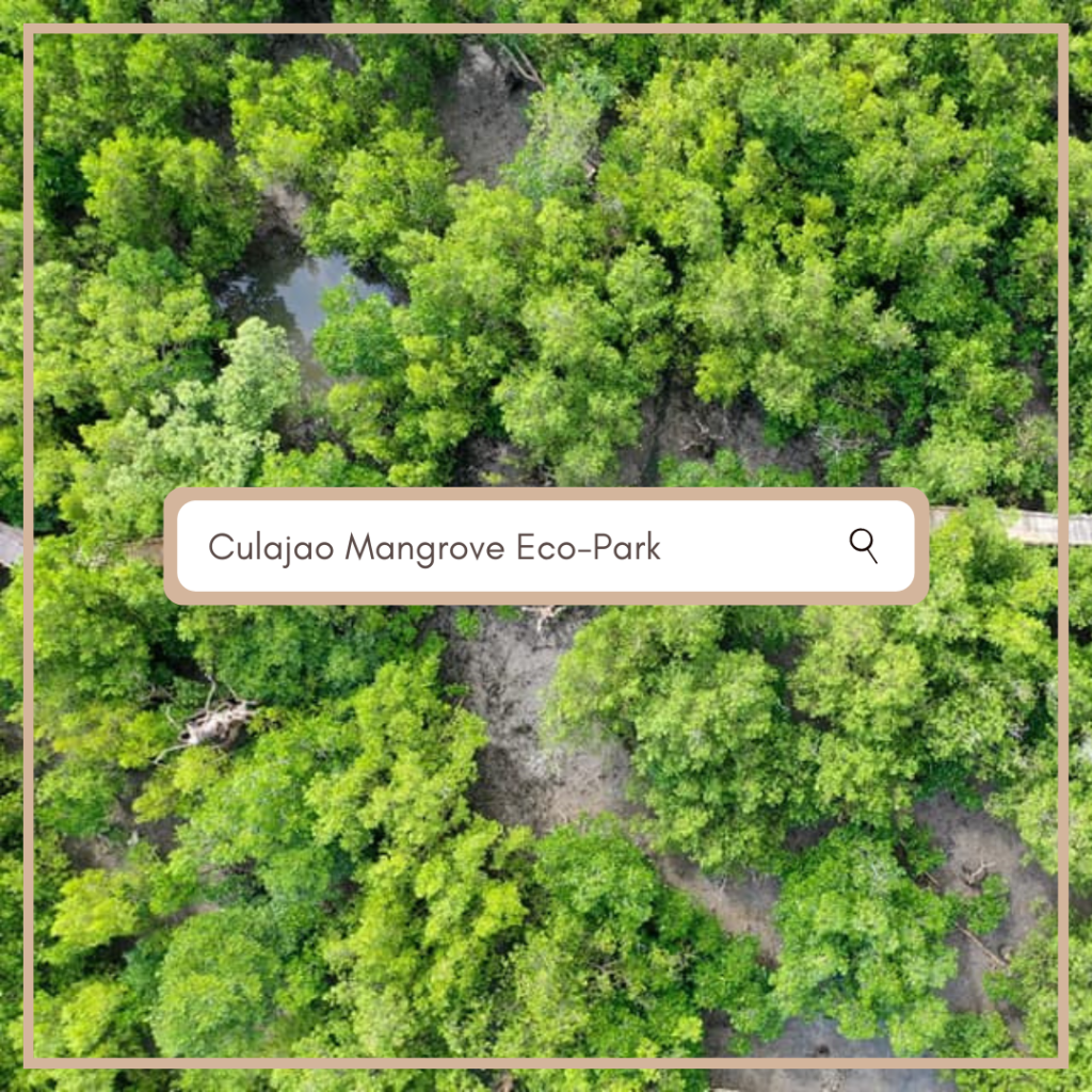 Culajao Mangrove Eco-Park Roxas City Tourist Spot