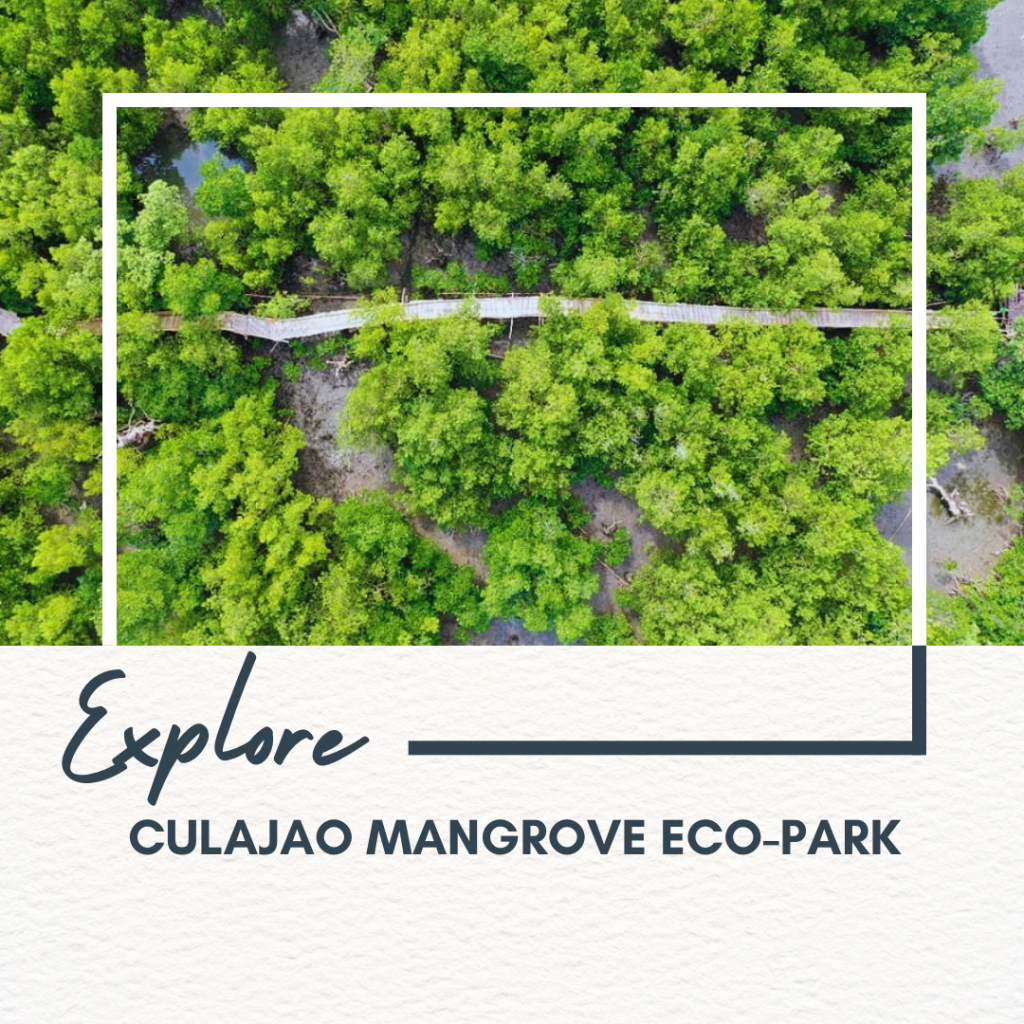 Culajao Mangrove Eco-Park